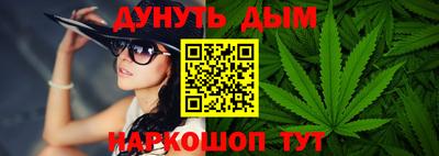стаф Брянск