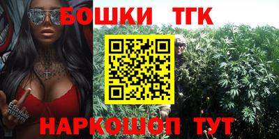 стаф Брянск