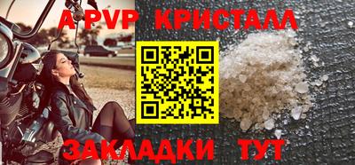 стаф Брянск