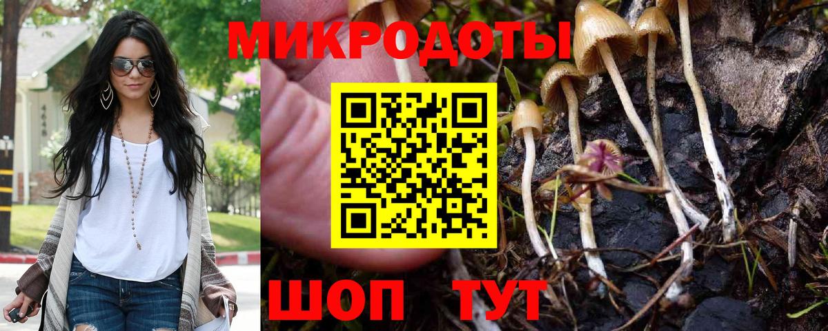 Галлюциногенные грибы прущие грибы  Вход с VPN  Краснодар 